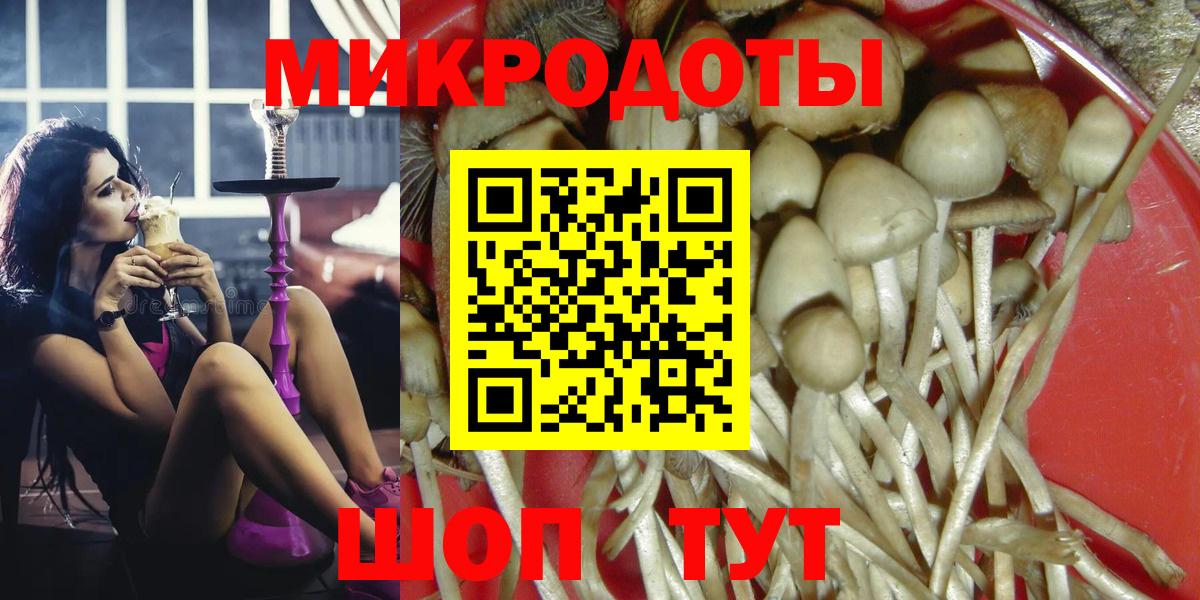 Донской  Псилоцибиновые грибы прущие грибы  Псилоцибиновые грибы MAGIC MUSHROOMS  Вход с VPN 